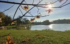 II miejsce - Urszula Orkisz - Publiczna Szkoła Podstawowa nr 2 w Staszowie