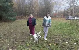 Dziewczynki spacerują po łące z pieskiem