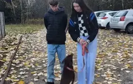 Piesek uczy się aportować