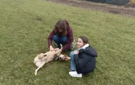 Dziewczynki bawią się z pieskiem