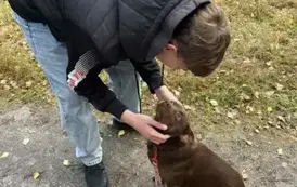 Zabawy z pieskiem na spacerze