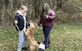 Zabawy z pieskami na łące
