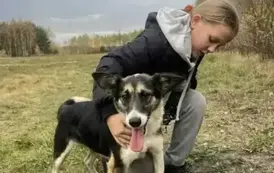 Radość ze spaceru z pieskiem