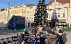 Odpoczynek pod choinką na rzeszowskim rynku