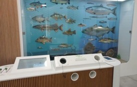 Podkarpackie Centrum Nauki Łukasiewicz- Pod wodą życie kwitnie