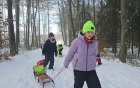 Marsz z sankami po leśnych, zimowych ścieżkach