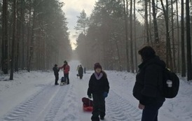 Wędr&oacute;wka przez las