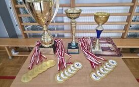 Trofea sportowe