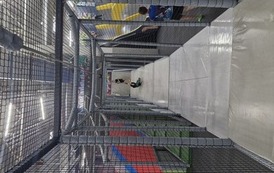 Uczniowie podczas zabawy na zjeżdżalni