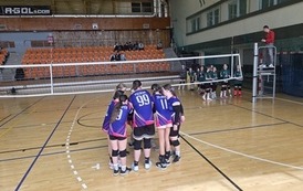 Mobilizacja