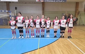 Prezentacja zespołu