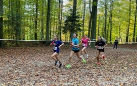 Rywalizacja sportowa