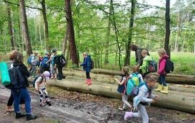 Podczas leśnej wycieczki uczniowie klasy 1 b przechodzą test sprawności fizycznej