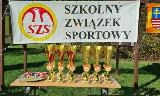 Puchary i medale