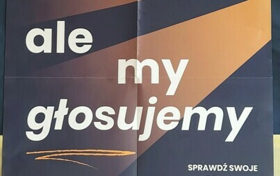 Oni mówią ale my głosujemy - plakat