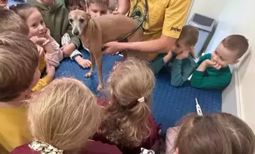 Badanie psa przy użyciu stetoskopu