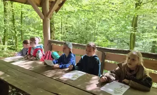Uczniowie klasy 2 b rozwiązują zadania przyrodnicze