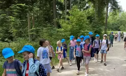 Wędrówka leśnym duktem